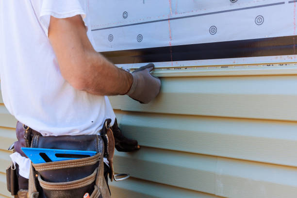 Affordable Emergency Siding Repair solutions in Louisa, VA